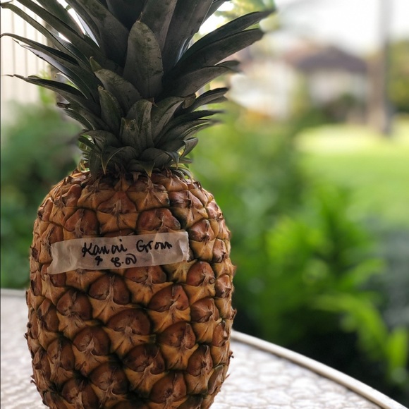 Meet your Posher, Ella💛 - Picture 12 of 12